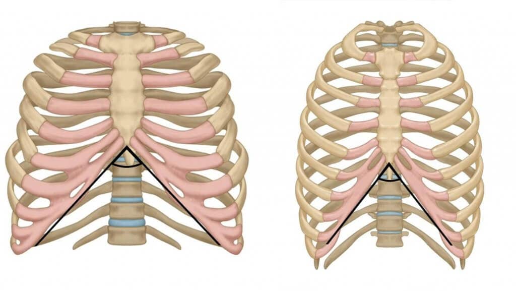 remedies for shoulder pain infrasternal angle diagram